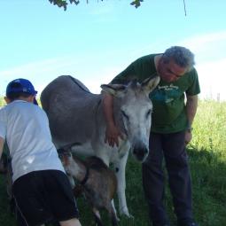 Bernard le vice président