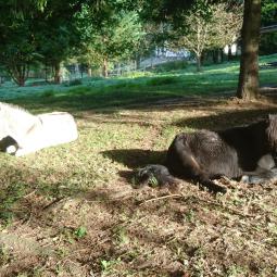 Voici Bianca 8 mois après son arrivée 